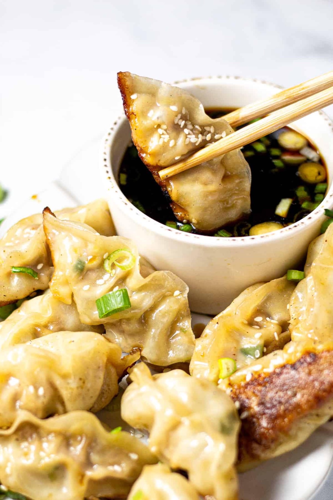 Pan-fried dumplings with dipping sauce